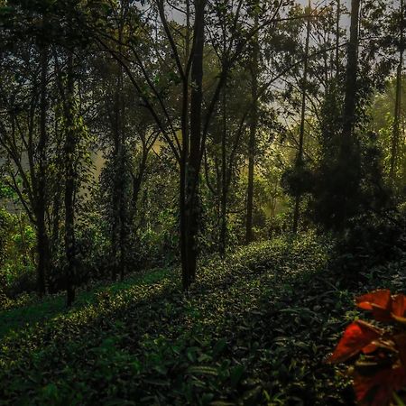 Southern Panorama Indriya Resorts & Spa Munnar Eksteriør billede